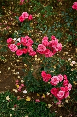 搞笑情感语录文案经典语录文案 精辟搞笑爱情短句