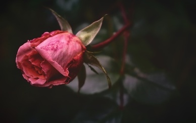 三年之约爱情句子文案 形容三年恋爱终于结婚的句子文案