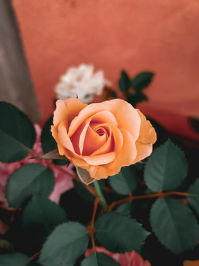 表达心痛的夸张句子文案 形容我的心情特别难过的夸张句