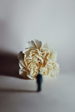 代表自己还是单身的个性签名 表示单身的个性签名