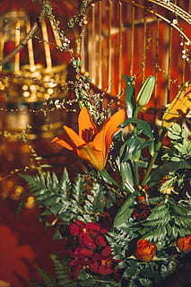 有花夜景的浪漫句子文案 关于“夜景”的唯美句子文案？