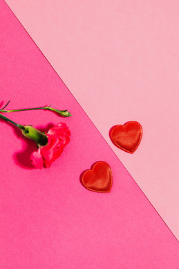 表白真实感人的一段话 表白真实感人的一段话