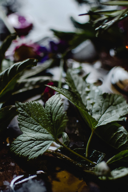 可以哄女生开心话小短句 哄女生高兴的句子文案