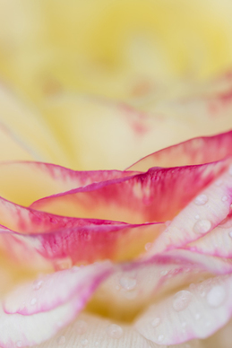 伤感的句子文案说说心情无关爱情 无关爱情的伤感说说。越多越好