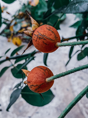 想挽回爱情的话语 挽留爱情的经典语句文案