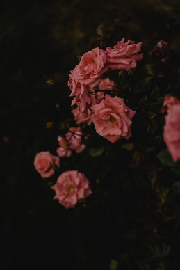 生日祝福老公的句子文案 写给老公的生日祝福的话