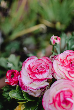 写给兵哥的情话简短 写给兵哥最暖心的句子文案有哪些？