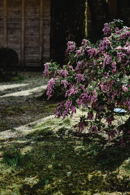 和中年女人聊天的情话文案 怎样通过和中年女人微信聊天让她爱上自己？