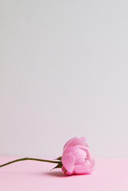 八字情话文案留言 古代八字情话文案名言