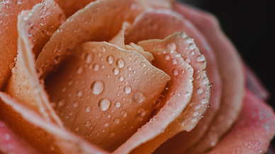 写给婚外情人最感人的话 写给情人最感人一段话