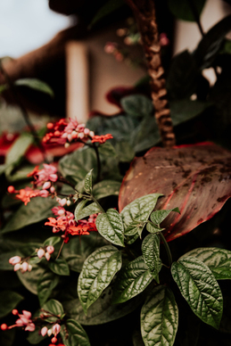 形容心动了的幽默句子文案 爆笑形容心动感觉的词句