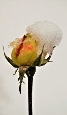 哄老婆感动最肉麻的情话文案 求一些肉麻的哄老婆开心的情话文案!