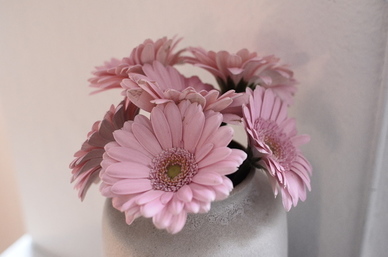 用一句话介绍自己喜欢的节日 我喜欢哪一个传统节日一段话