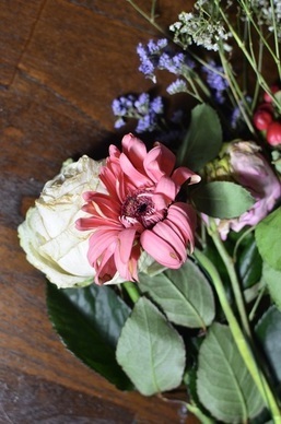 形容女生文艺的句子文案 形容女生文艺的句子文案有哪些？