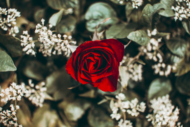 浪漫的扎心文案 扎心文案短句有哪些?