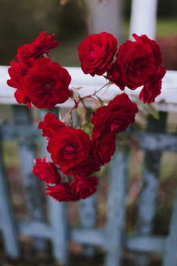 表白祖国母亲短句 对祖国的表白一句话经典语录文案有哪些？