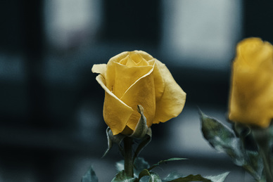 赞美成功男人的话 赞美事业成功男人经典句子文案有哪些？