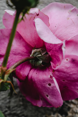 暗示知道他出轨的说说文案