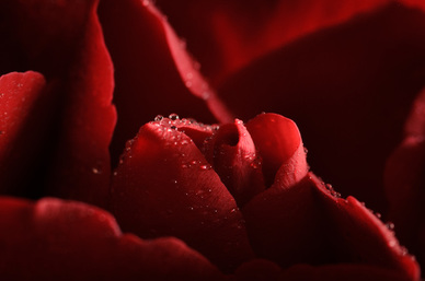 早晨爱情说说文案心情短语 美好早安说说文案心情短语