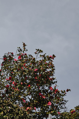 老公请吃饭的幽默说说 老公请我吃佛跳墙了的幽默句子文案