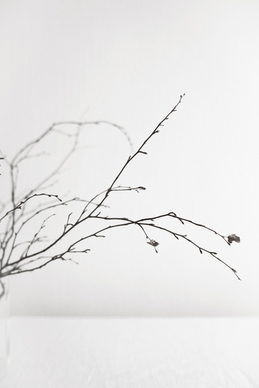 给男朋友撒娇道歉的话 给男朋友撒娇道歉的话