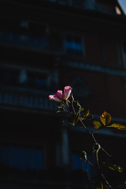 送给爸爸的最暖心的话 送给家人的最暖心的话