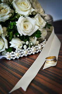 心爱之物句子文案 我的心爱之物，好词好句