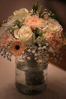 感恩情侣相遇的唯美句子文案 感恩朋友相遇的唯美句子文案