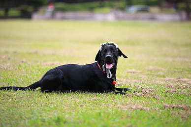 16个字的爱情句子文案久处不厌 16个字的唯美句子文案