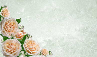 1000句最污的情话文案撩女朋友 撩女朋友的幽默情话文案