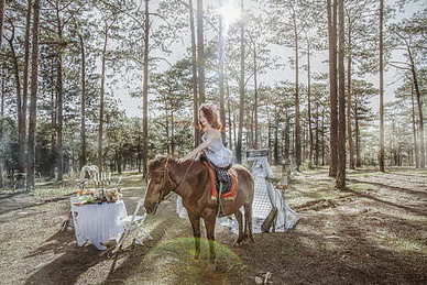 哄女孩开心的情话文案 哄女孩子开心的情话文案