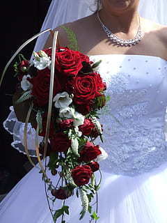 情人节文案3月15日 有哪些经典的情人节文案?