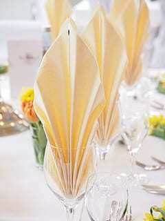 鸟类的爱情经典句子文案 谁能帮我想几句用鸟类表达爱情的经典诗啊.