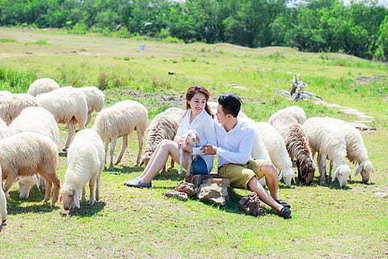 可爱的话短句 形容可爱的句子文案简短