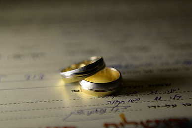 有关猫的文案超温柔 关于爱猫咪的暖心句子