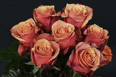 最牛的套路表白方式 你见过最套路的表白是什么样的?