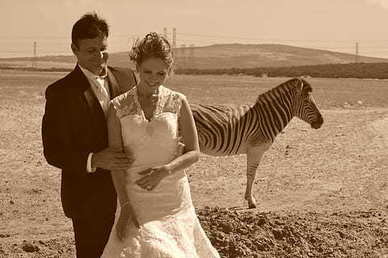 女生叼到爆的句子文案八个字 求叼到爆的句子文案 关于恋爱的。