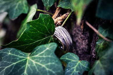 和心爱的人分开的话语 跟心爱的人离别说的话