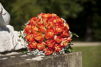 情感扎心语录文案图片一套 抖音上情感语录文案头像图片怎么做的