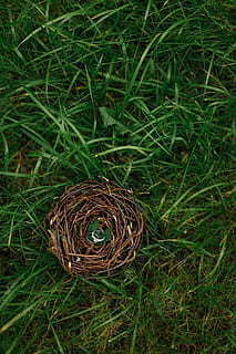 失恋感悟的经典句子文案 关于失恋的经典语录经典