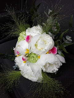 调皮的晚安情话文案 有什么俏皮可爱的情话文案?