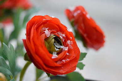 痛苦怀念爱情的句子文案 思念爱情的句子文案