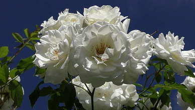 对深爱的人很失望的句子文案 对一个人很失望的句子文案发朋友圈