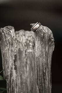 经典征婚自我介绍 征婚自我介绍怎么写