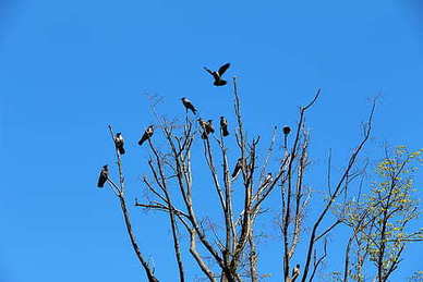 喝醉酒说的情话句子文案 喝酒喝醉的句子文案经典句子文案