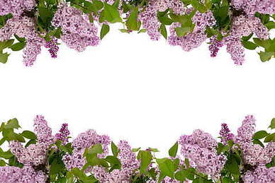 情侣之间最暖心的一句话 求情侣间暖心感动的一句话对白。