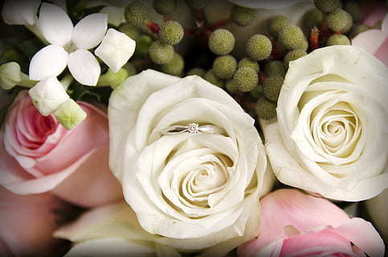 写给明星的情话文案超短句 写给偶像的唯美短句