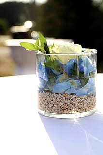 爱上情人的句子文案 有哪些美好的写给情人的句子文案