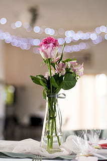 关于结婚的唯美诗句文案 形容结婚的唯美古诗词