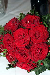 一段感情变淡的说说 感情变淡,心情凄凉的句子文案